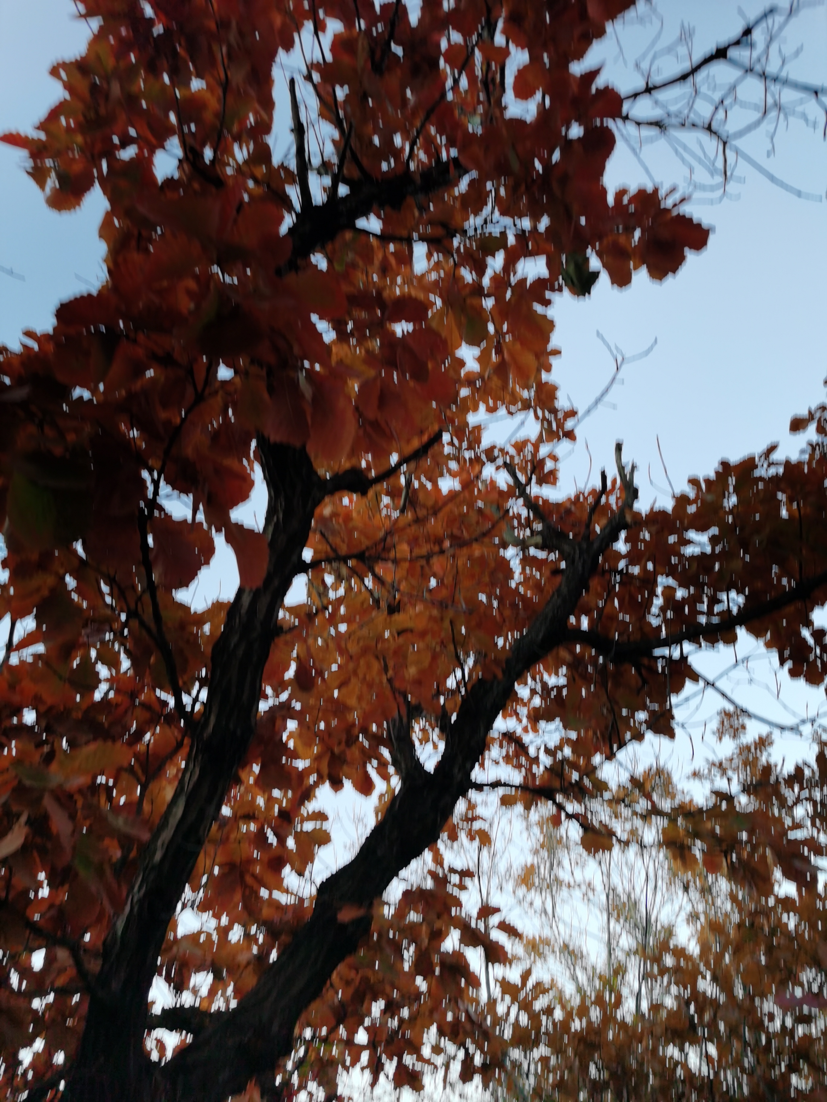 http://img.danews.cc/upload/images/20221018/c224b24a01d532b00e1f58f5132bbe75.jpg
